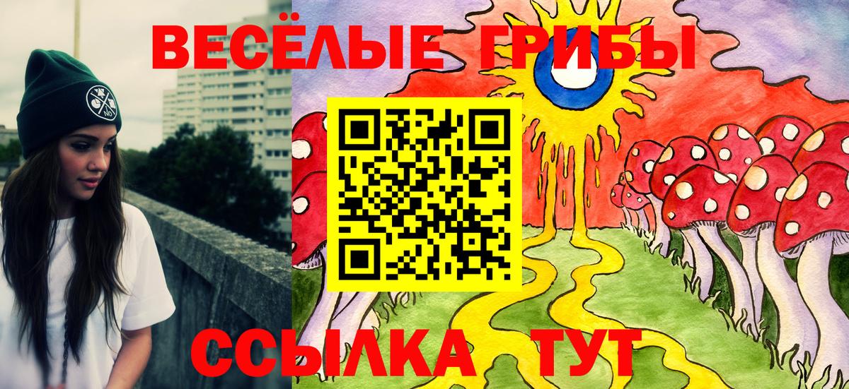 Псилоцибиновые грибы мицелий Сертолово