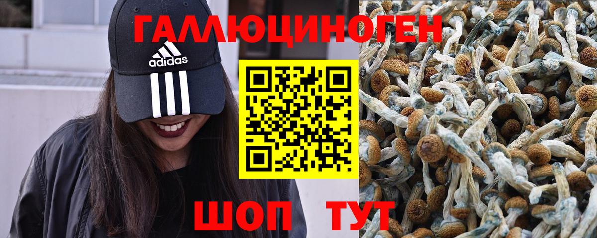 Псилоцибиновые грибы MAGIC MUSHROOMS  Вход с VPN  закладки  Сертолово 